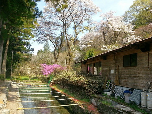 20140412_135727.jpg