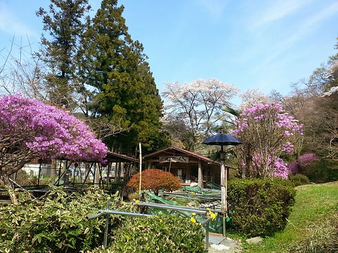 20140412_135620.jpg