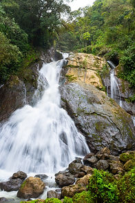 DSC_5966-P.jpg