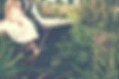 Ceremonies of Love and Life | Elopements and Small Weddings