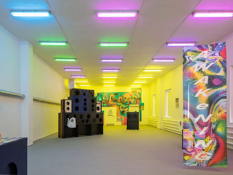 Exhibition Visit 3 : Karlin Studio