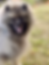 IMG_20260102_102222.heic