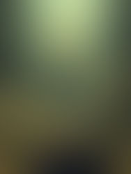 Touch Not My Anointed: When God Fights for You