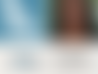 FPTA Spotlight: Meryl Alappattu, PT, DPT, PhD