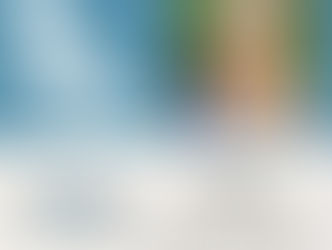 FPTA Spotlight: Bri Wyatt, PT, DPT