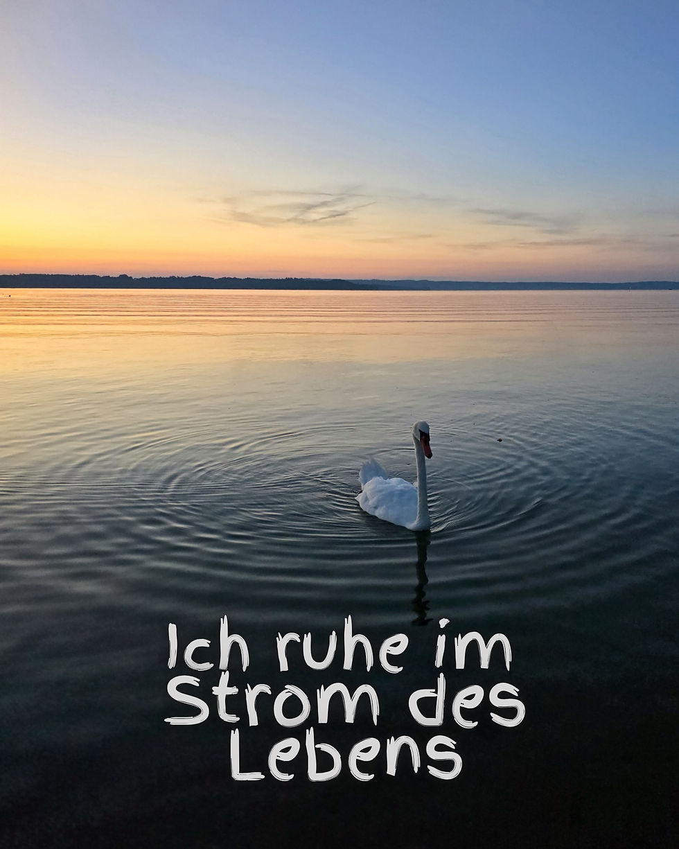 Zurücklehnen, Gewicht abgeben, treiben lassen im Strom des Lebens. Das Universum weiß schon, wohin es mich trägt.