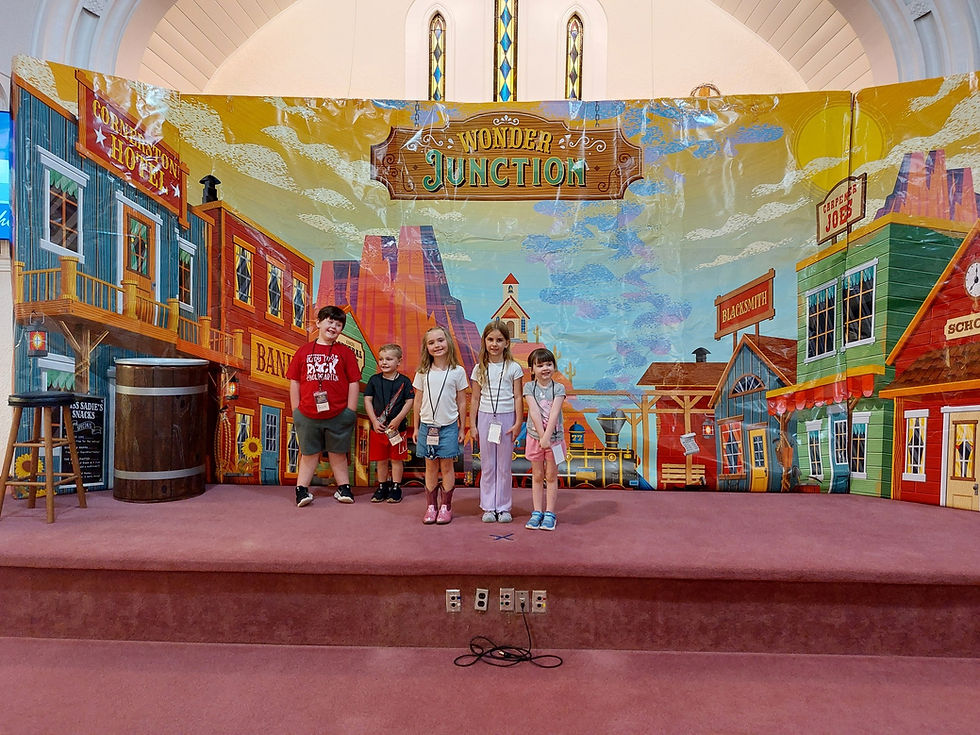 VBS2025-03