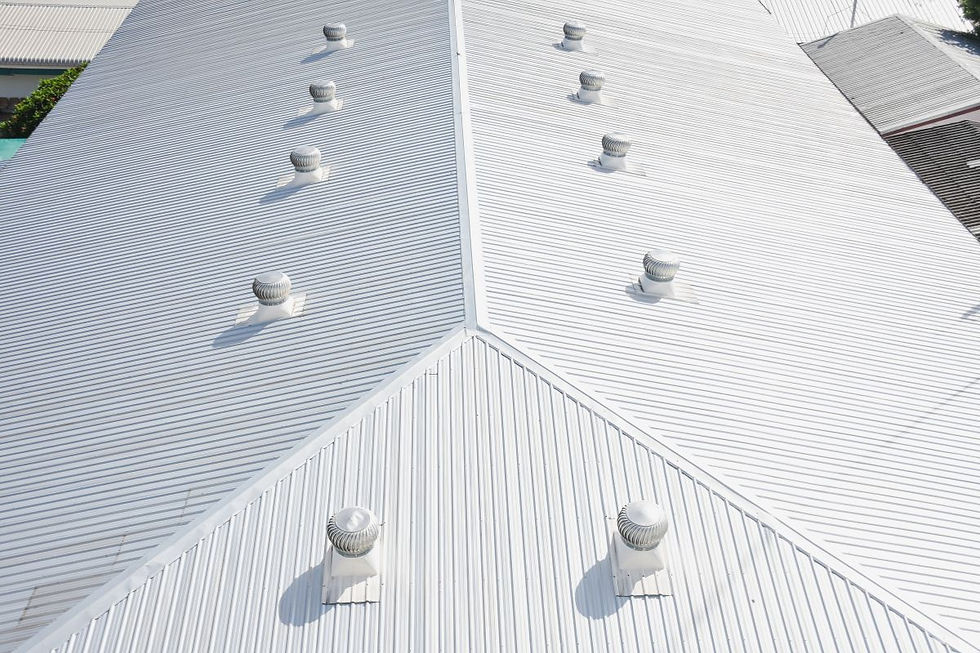 Roof Coating