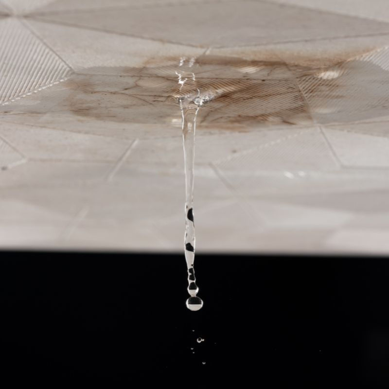 roof leak