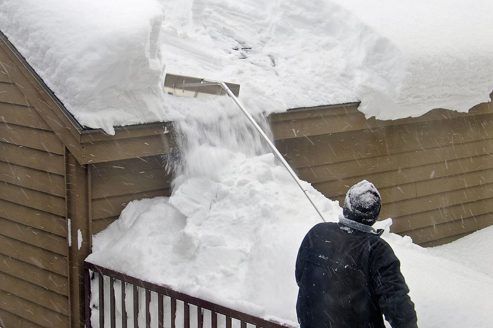 roof snow rake