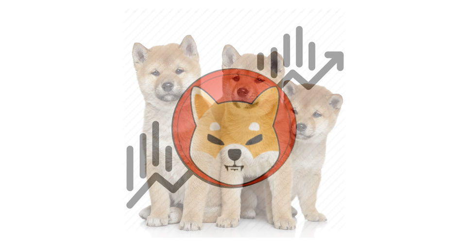Where will shiba inu be in five years?