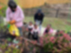 IMG-4223