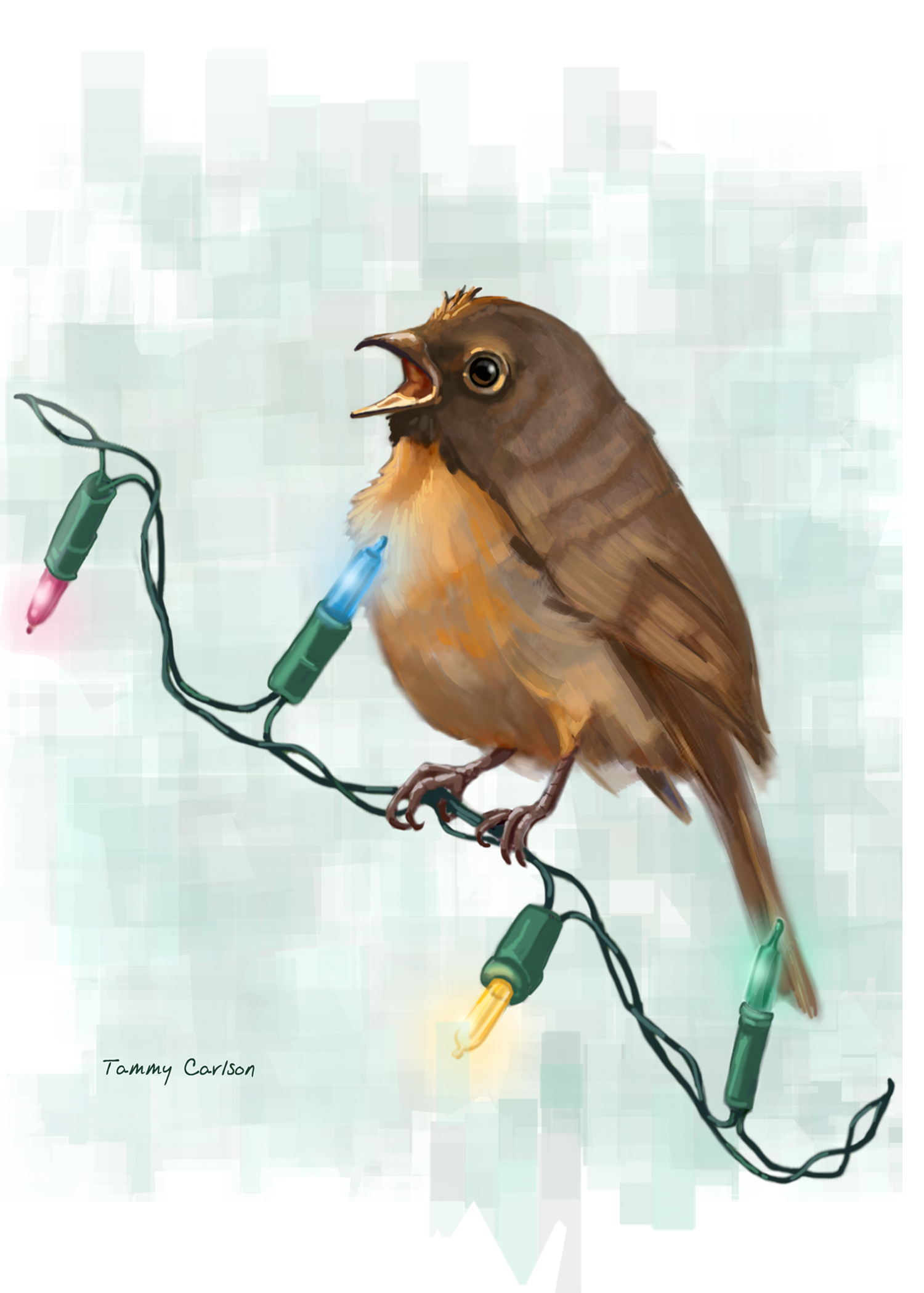A Christmas Robin