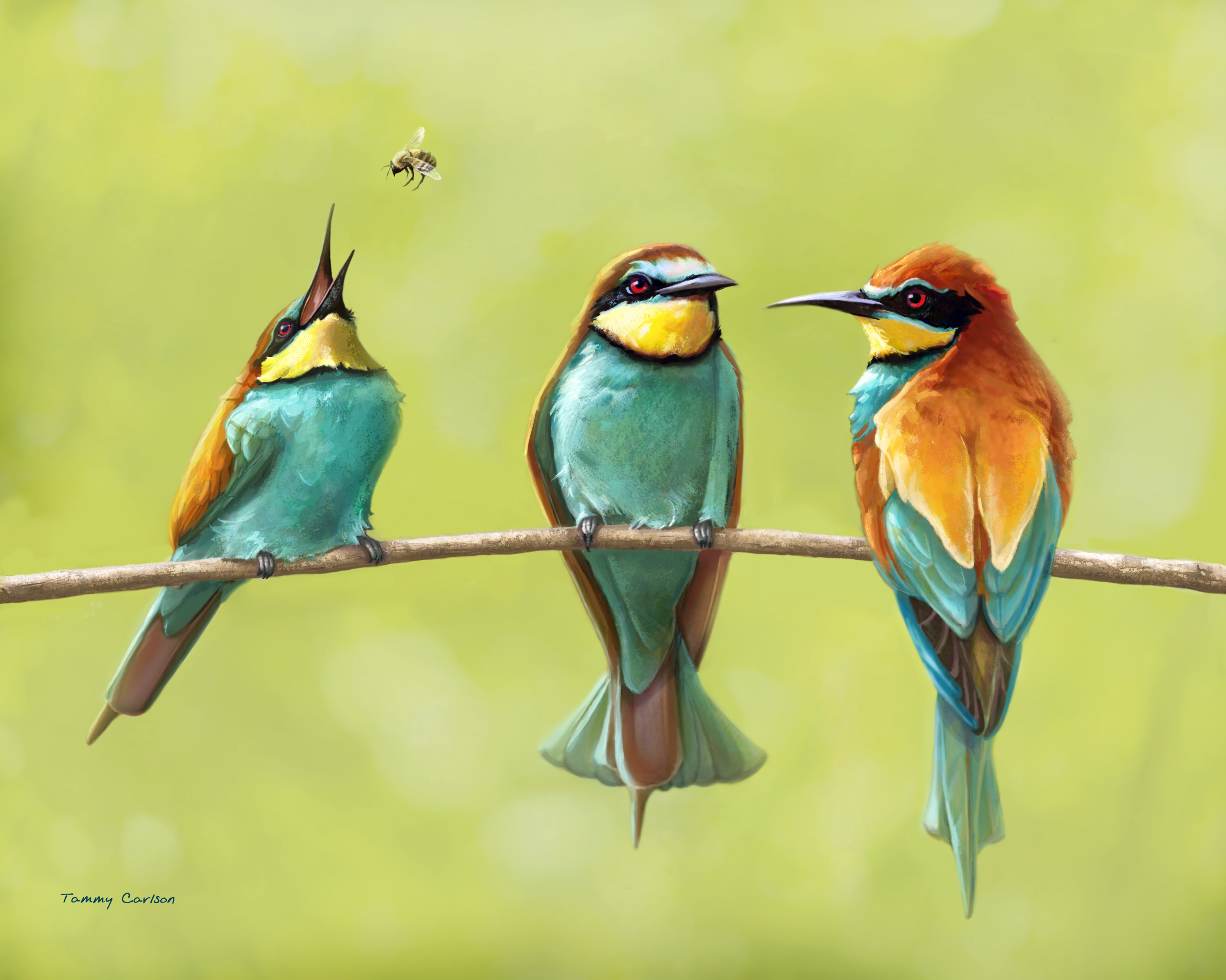 Bee Eaters
