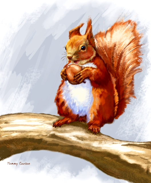 Nutkin