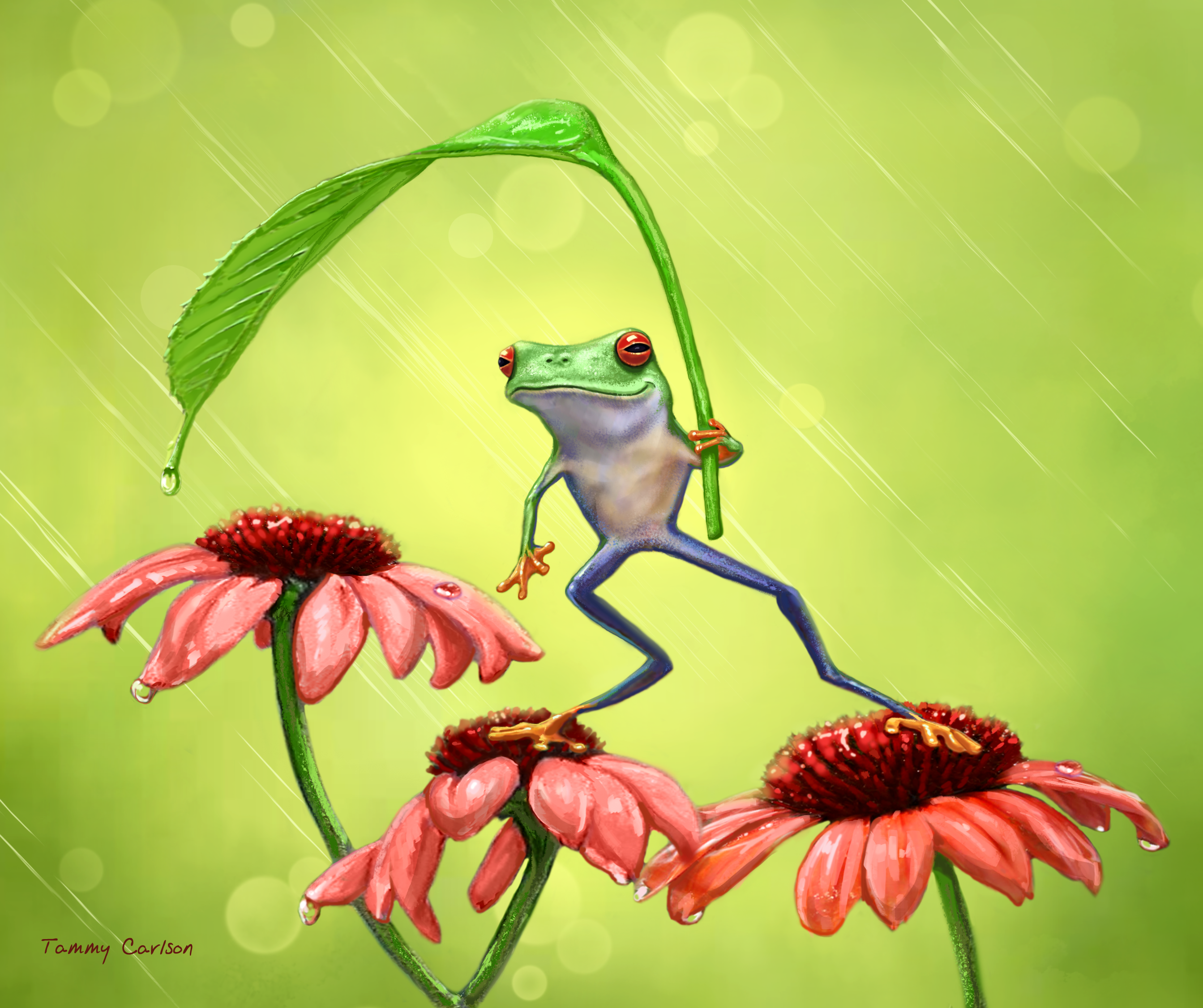 Happy Spring!
