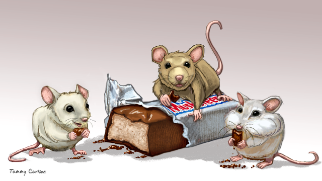 The Three Mousketeers