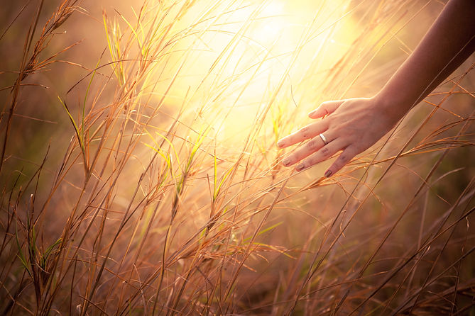 Close up of a woman's hand touching golden grass.jpg