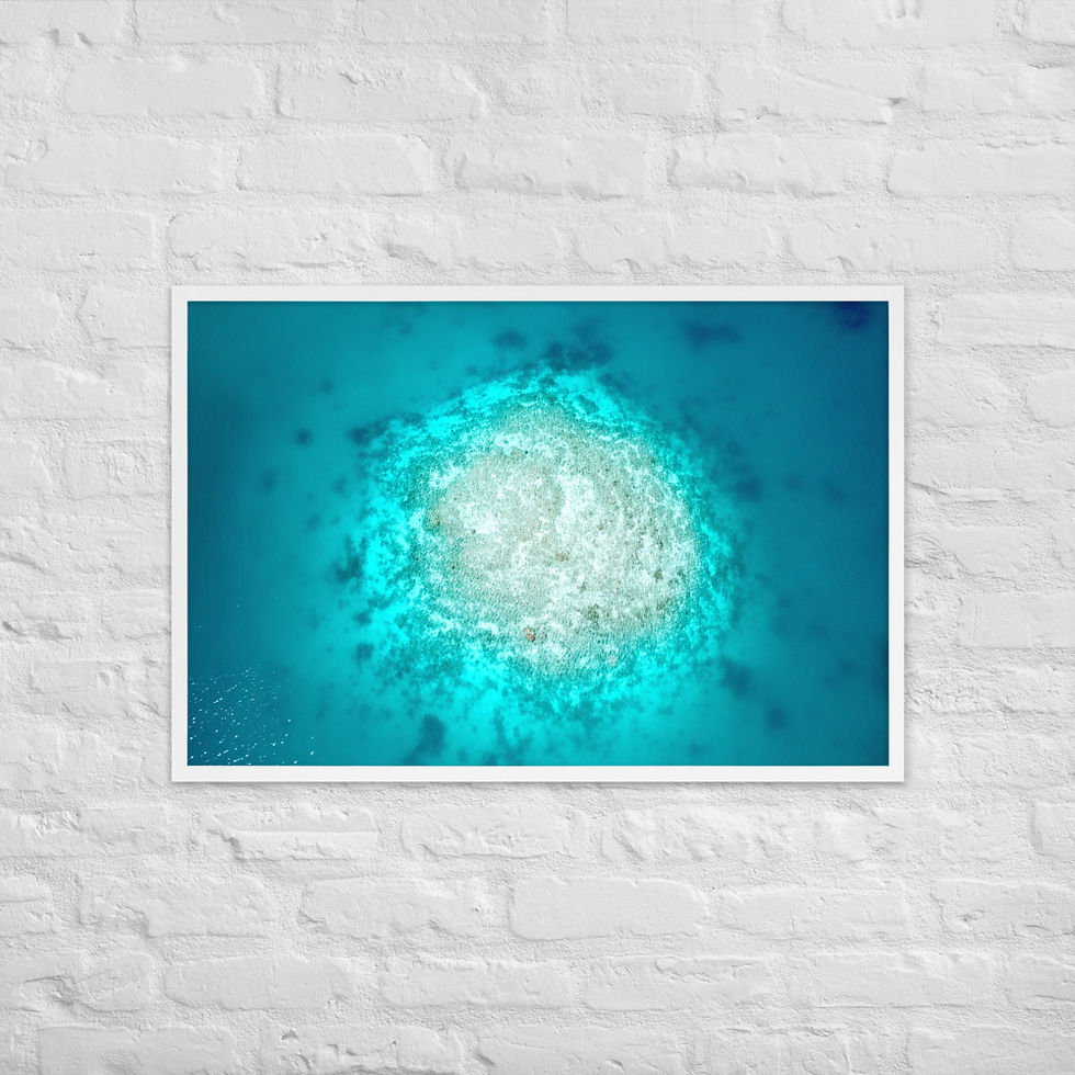 Thumbnail: Framed Poster - Coral Rock, New Caledonia