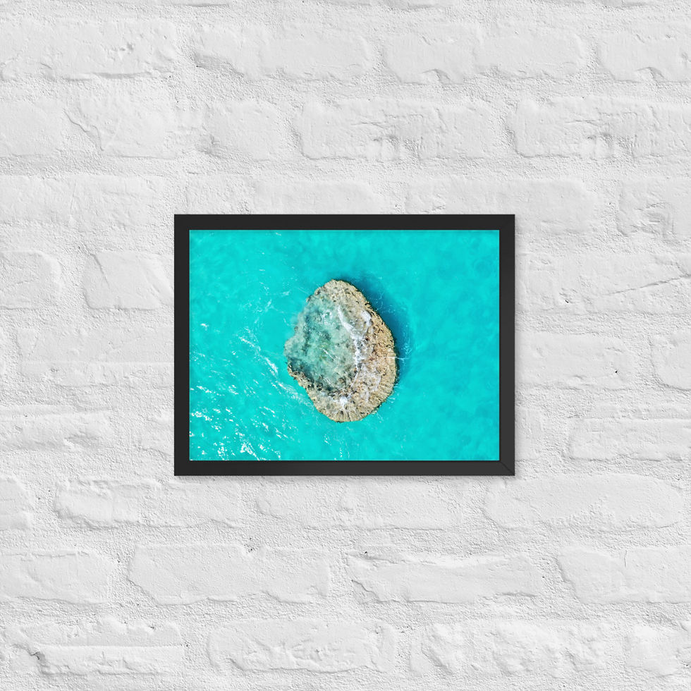 Thumbnail: Framed Poster - Coral Rock, Bermuda