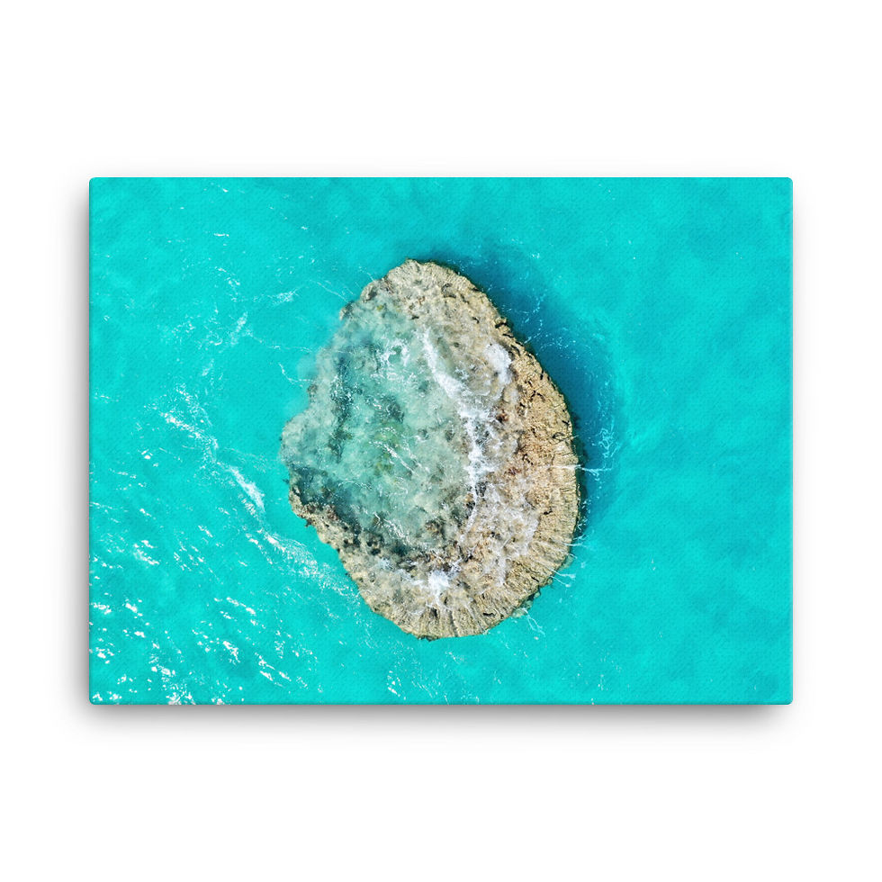 Thumbnail: Canvas - Coral Rock, Bermuda