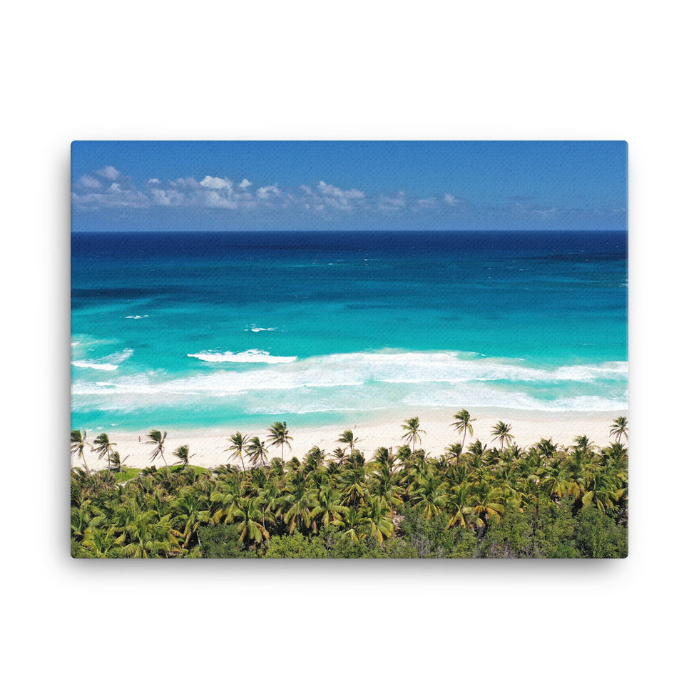 Thumbnail: Canvas - Punta Cana, Dominican Republic