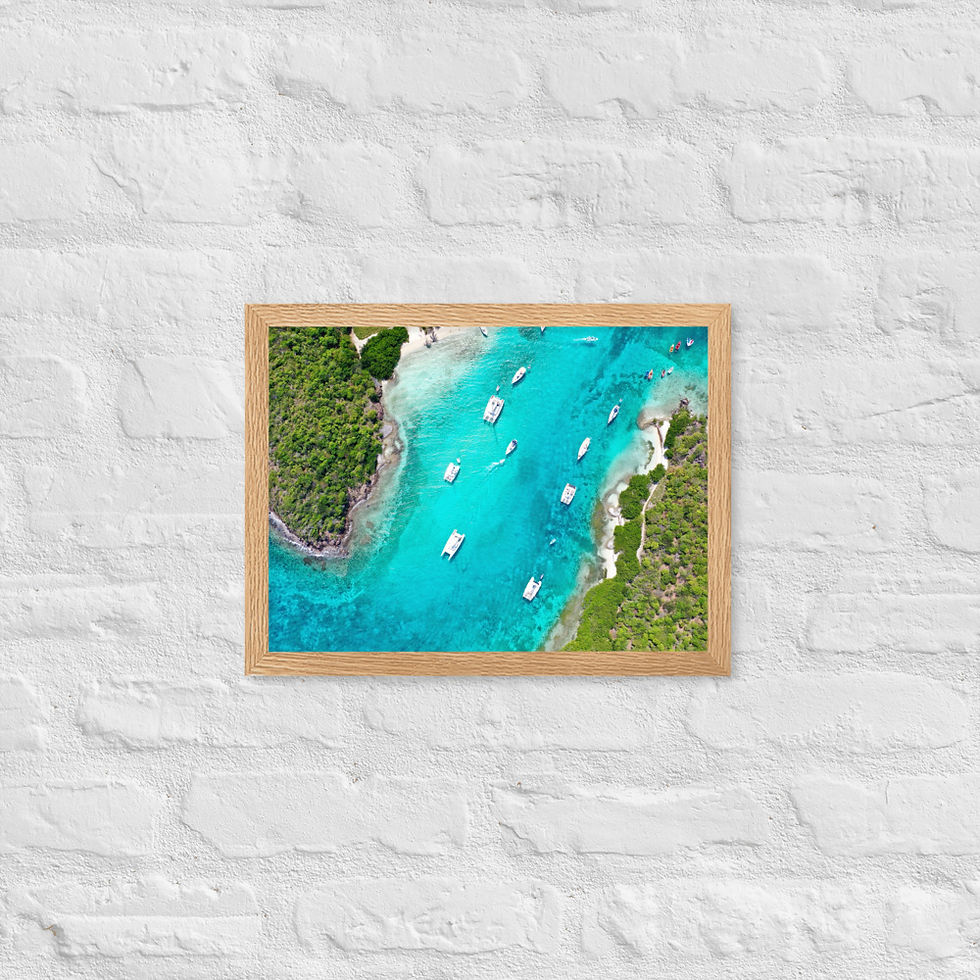 Thumbnail: Framed Poster - Tobago Cays, St. Vincent & the Grenadines