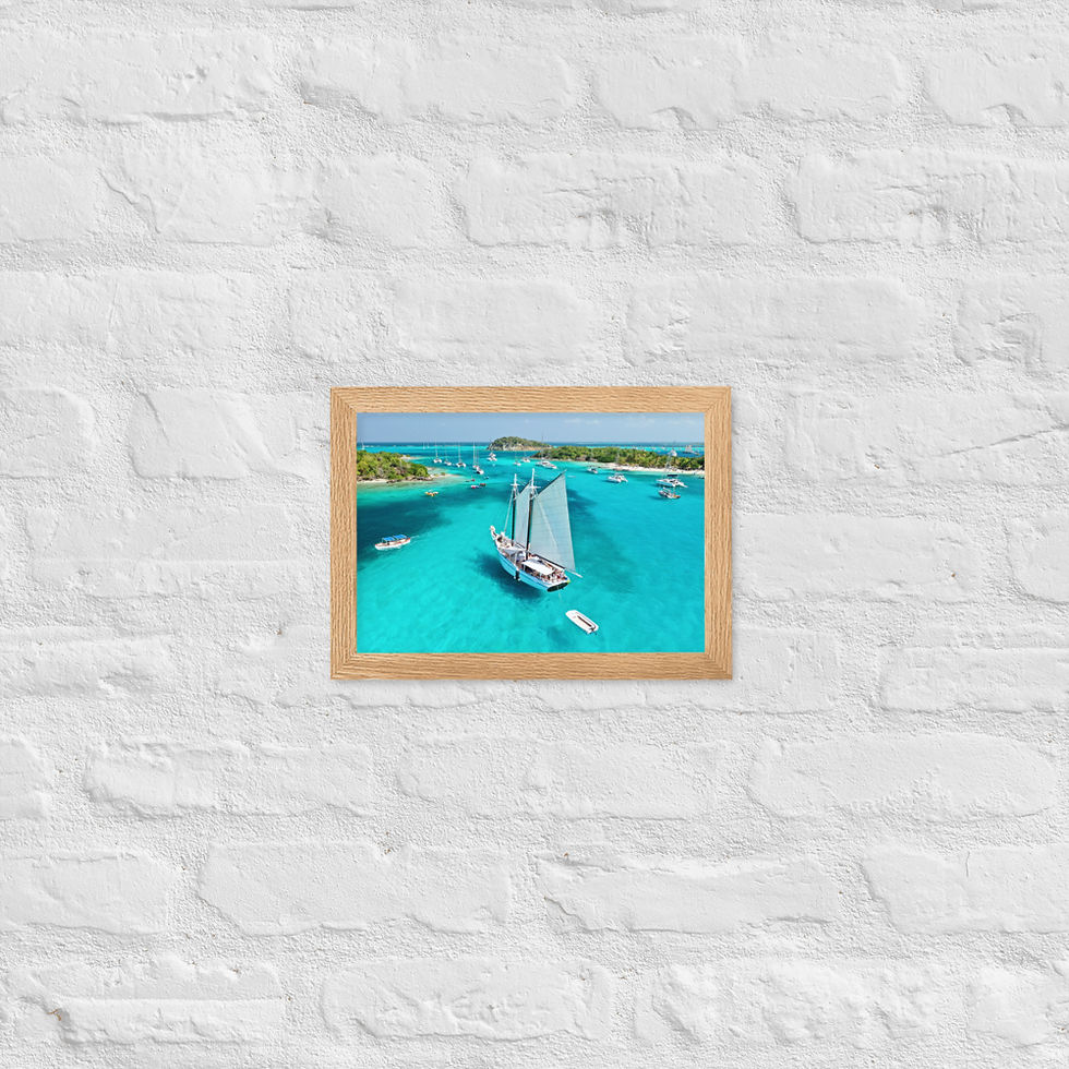 Thumbnail: Framed Poster - Friendship Rose, St. Vincent & the Grenadines
