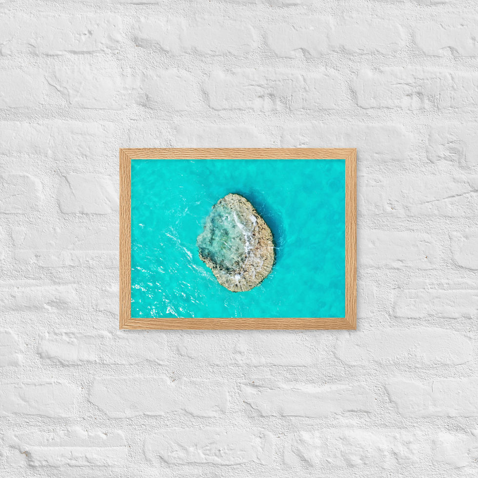 Thumbnail: Framed Poster - Coral Rock, Bermuda
