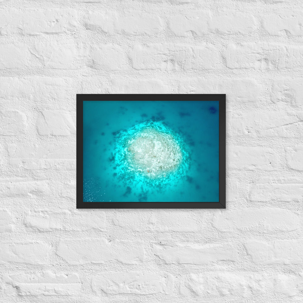 Miniaturbild: Framed Poster - Coral Rock, New Caledonia