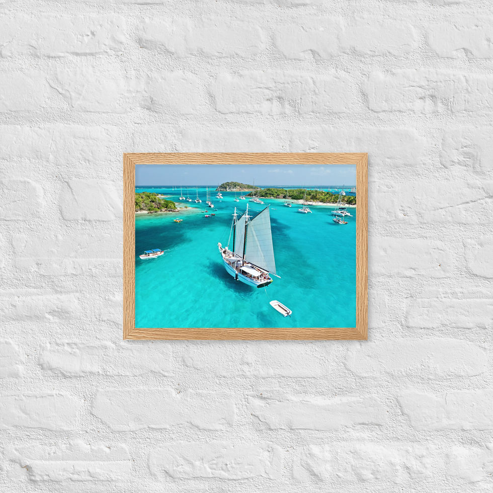 Thumbnail: Framed Poster - Friendship Rose, St. Vincent & the Grenadines