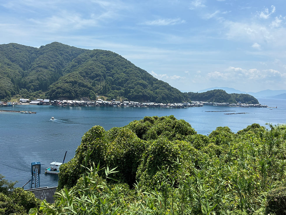 酷暑、8月は、お休みです。