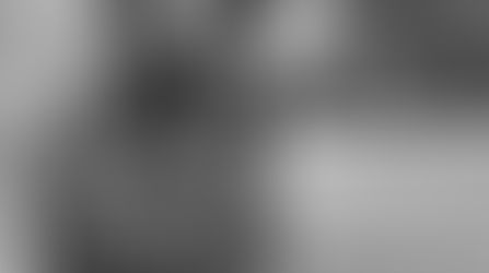 Being Body Confident