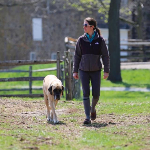 Photo Credit: Colin Purrington