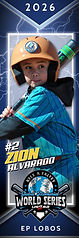 Individual Panoramic 10x30 World Series 002 copy.jpg