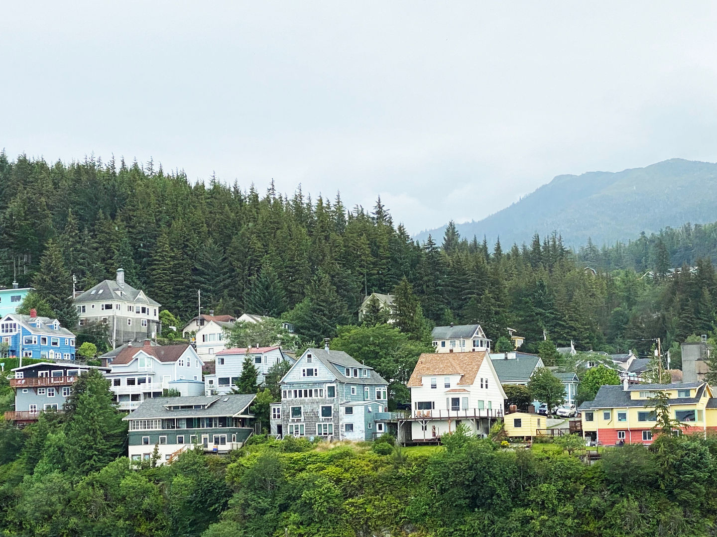 Town in the Pines