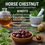 Miniature : HORSE CHESTNUT Berry Aromatic Herb Bulk ( Aesculus hippocastan)