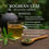 Miniaturbild: BOGBEAN Leaf Natural Tea Wellness Blend ( Menyanthes trifoliat)