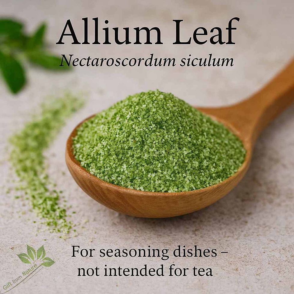 Miniature : ALLIUM Leaf Botanical Mix Hand Selected ( Nectaroscordum sicul)