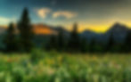 springtime-in-the-mountains-wallpaper-3840x2400_9.jpg