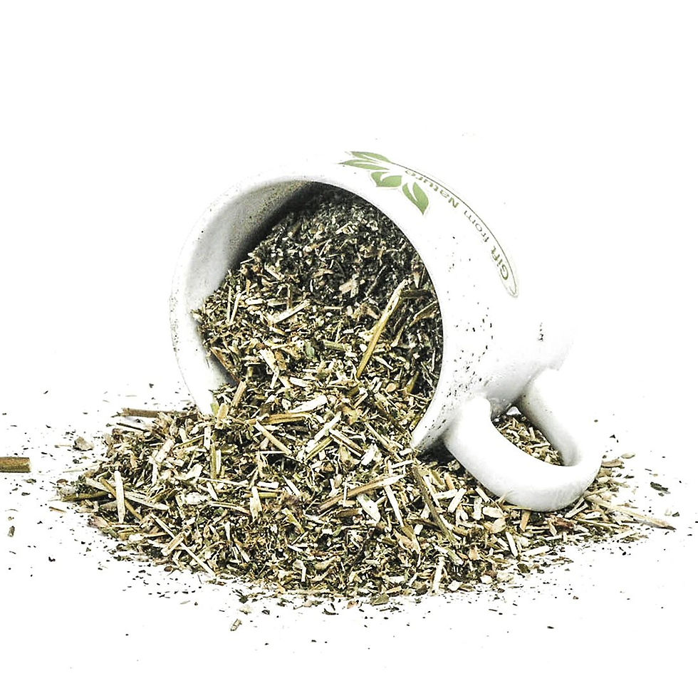 Миниатюра: HEMP NETTLE Herb Organic Herbs Wildcrafted ( Galeopsis tetrahit l)