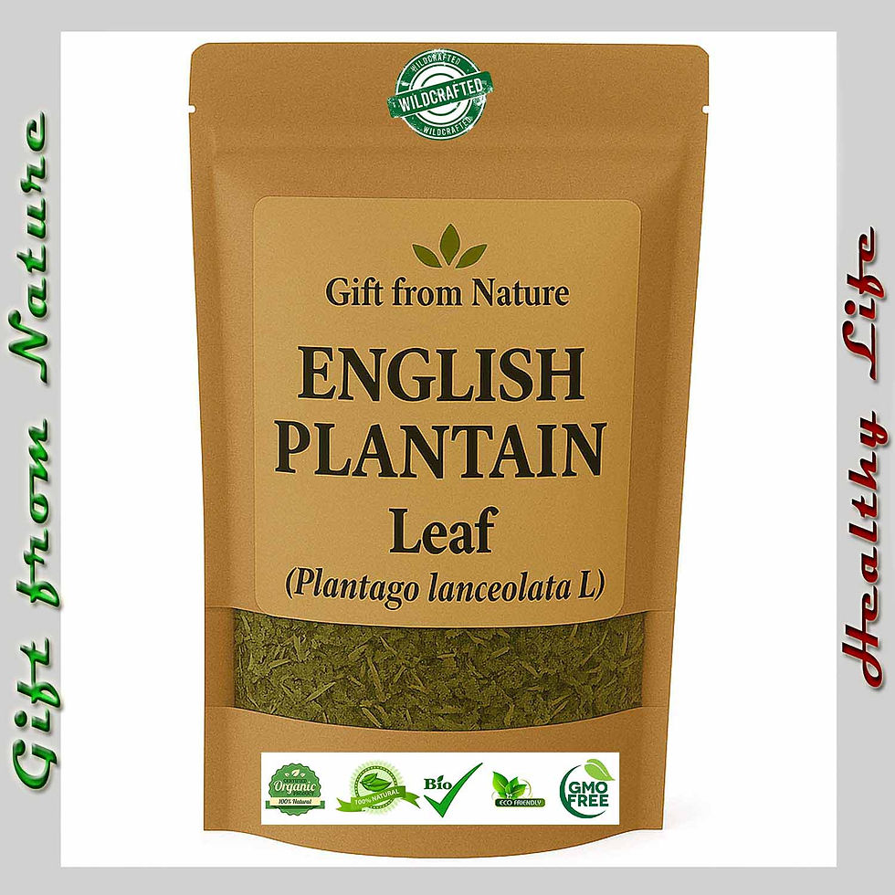 PLANTAIN Leaf Morning Boost Herbal Tea ( Plantago lanceolata), Eldira - Natural Herbal Remedy.