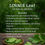 Thumbnail: LOVAGE Leaf Spice All Natural Foodie Favorite ( Levisticum officinal)