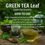 Miniaturbild: GREEN TEA Leaf Natural Tea Ritual ( Camellia sinensis)