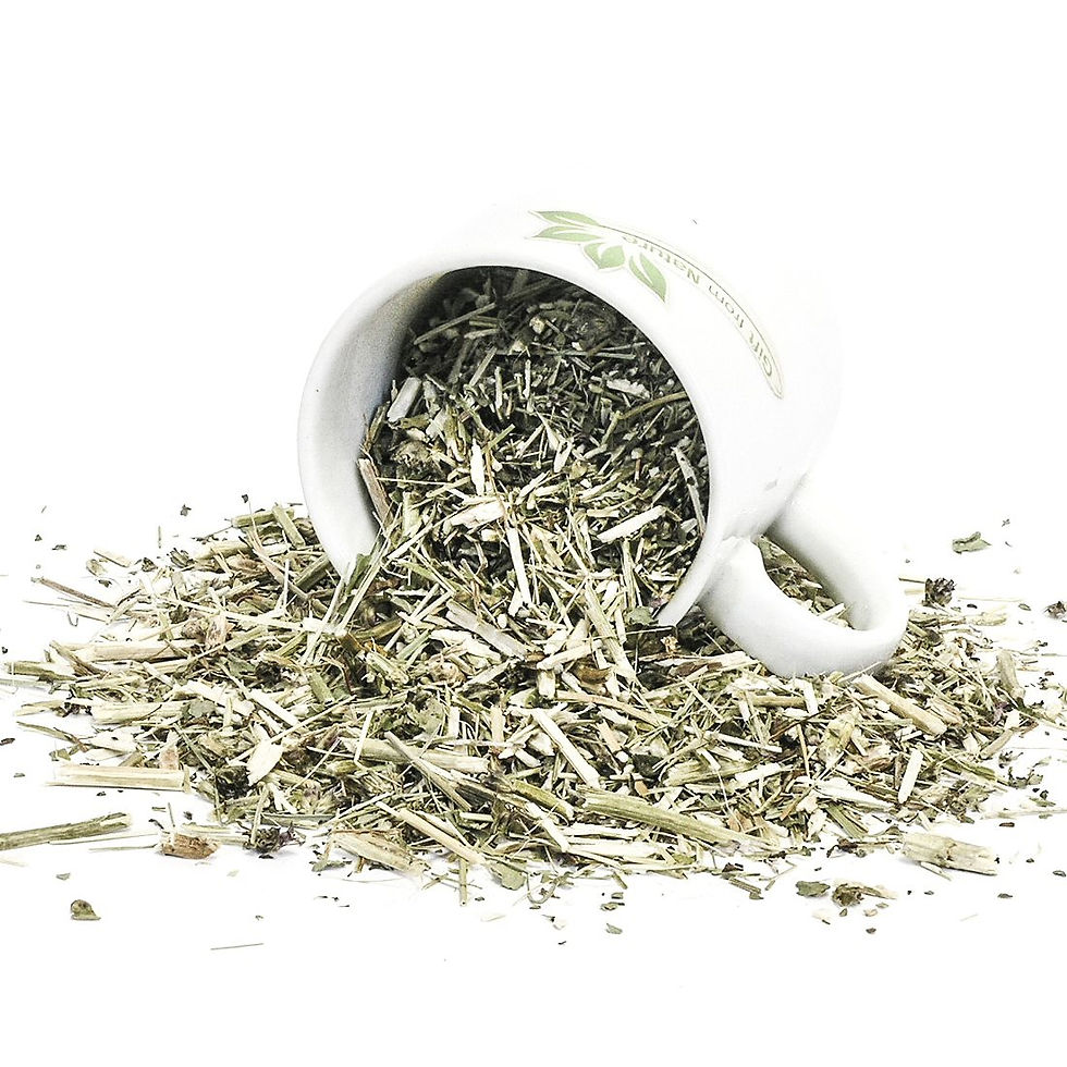 Thumbnail: WOOD BETONY Herb Organic Tea Womens Health ( Stachys officinalis)