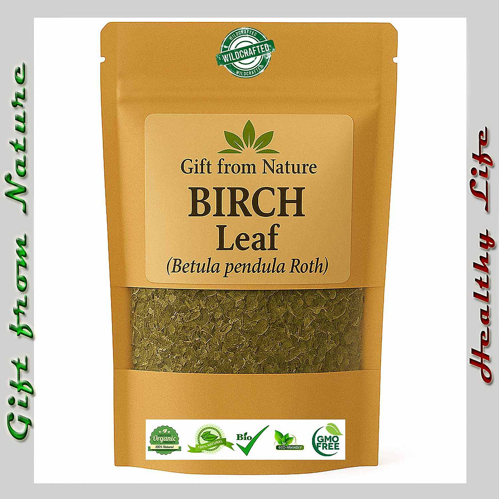 BIRCH Leaf Freshly dried Organic ( Betula pendula roth), Eldira - Natural Herbal Remedy.