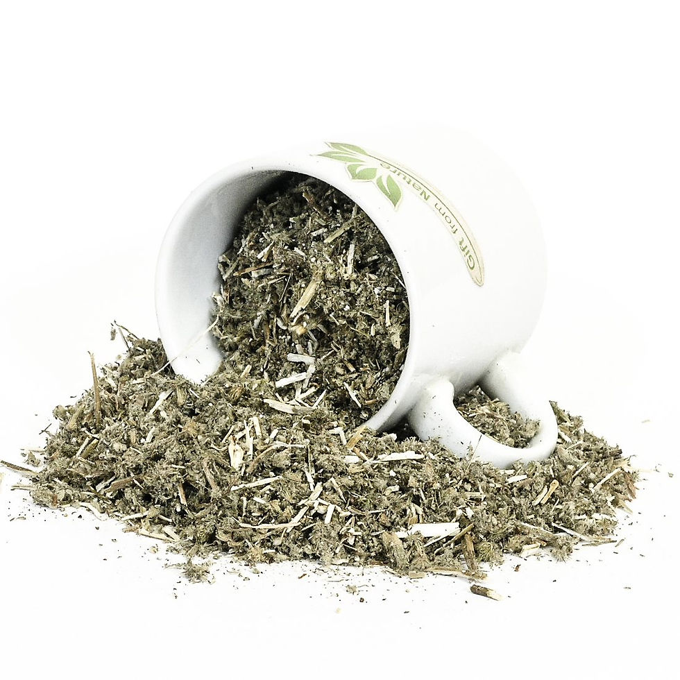Miniature : HOREHOUND Herb Relaxation Tea Aromatic ( Marrubium vulgare)