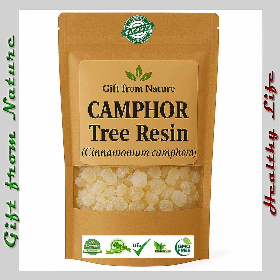 CAMPHOR Tree Resin Aromatic Herb Bulk ( Cinnamomum camphora), Eldira - Natural Herbal Remedy.