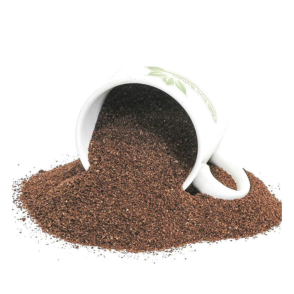 Miniature : SUMAC Flower Spice Savory Taste Kitchen Herbs ( Rhus coriaria l)