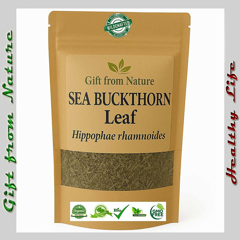 SEA BUCKTHORN Leaf Caffeine Free Calming Tea ( Hippophae rhamnoides), Eldira - Natural Herbal Remedy.